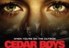 Cedar Boys - Plakat 