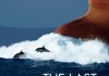 Filmplakat - 'The Last Giants - Wenn das Meer stirbt' <br />©  PROGRESS Film-Verleih