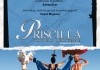 Priscilla - Knigin der Wste - DVD-Cover