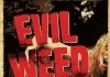 Evil Weed <br />©  2009 Cinema 59 Productions