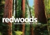 Redwoods <br />©  Pro Fun Media