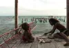 Alamar