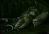 Hidden