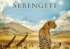 Serengeti <br />©  Universum Film