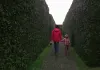 Shining - Shelley Duvall und Danny Lloyd
