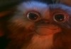 Gremlins 2 - Die Rckkehr der kleinen Monster