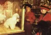 Alice <br />©  Sony Pictures