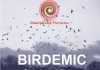 Birdemic: Shock and Terror <br />©  Moviehead Pictures  ©  www.birdemic.com