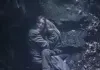 Shelter