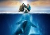 Der Ruf der Wale - Poster