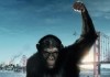 Planet der Affen: Prevolution <br />©  20th Century Fox
