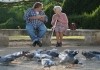 Beim Taubenzhlen im Park: Margueritte (Gisle...rter'