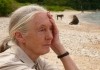 Jane's Journey - Jane Goodall am Ufer des Lake...sania