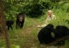 Jane's Journey - Jane Goodall mit Schimpansen in Gombe