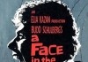 A Face in the Crowd <br />©  Warner Bros. Pictures