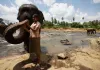 Chandani und ihr Elefant