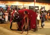 Chandani und ihr Elefant