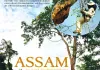 Assam - Im Land der Bienenbäume <br />©  Ascot