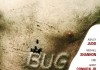 Bug <br />©  Ascot