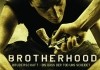 Brotherhood <br />©  Ascot