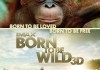Born to Be Wild <br />©  Warner Bros. Pictures
