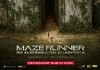 Maze Runner - Die Auserwählten - Im Labyrinth