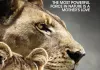 The Last Lions