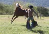 Cowboy forever