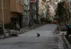 Wir sitzen im Süden