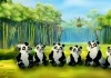 Kleiner starker Panda - In der Pandaschule