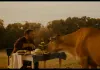 Sommer auf dem Land - Zbigniew Zamachowski