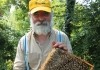 Queen of the Sun: What Are the Bees Telling Us? -...Italy