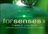 Forsenses II - Timber Lounge