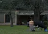 Ein Chinese zum Mitnehmen