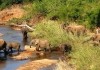 Naturzeit - Wilder Planet Erde: Africa-Super 7