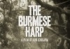 Die Harfe von Burma <br />©  AV Visionen
