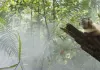 Amazonia - Abenteuer im Regenwald