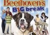 Beethovens groer Durchbruch <br />©  Universal