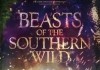 Beasts of the Southern Wild <br />©  MFA+ FilmDistribtuion e.K.