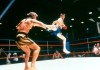 Karate-Tiger VI - Entscheidung in Rio