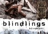 Blindlings <br />©  Koch Media