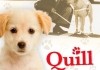 Ein Hund namens Quill