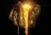 Leprechaun: Origins <br />©  Lionsgate