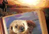 Otter 501
