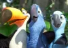 Rio 2