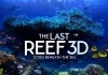 The Last Reef <br />©  2012 yes/no productions