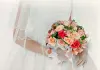 Die schöne Hochzeit <br />©  Kinowelt