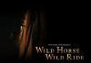 Wild Horse, Wild Ride <br />©  Screen Media Films