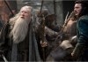 Der Hobbit 3: Die Schlacht der Fünf Heere -  Ian...Evans