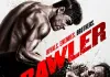 Brawler <br />©  2012 Turbo
